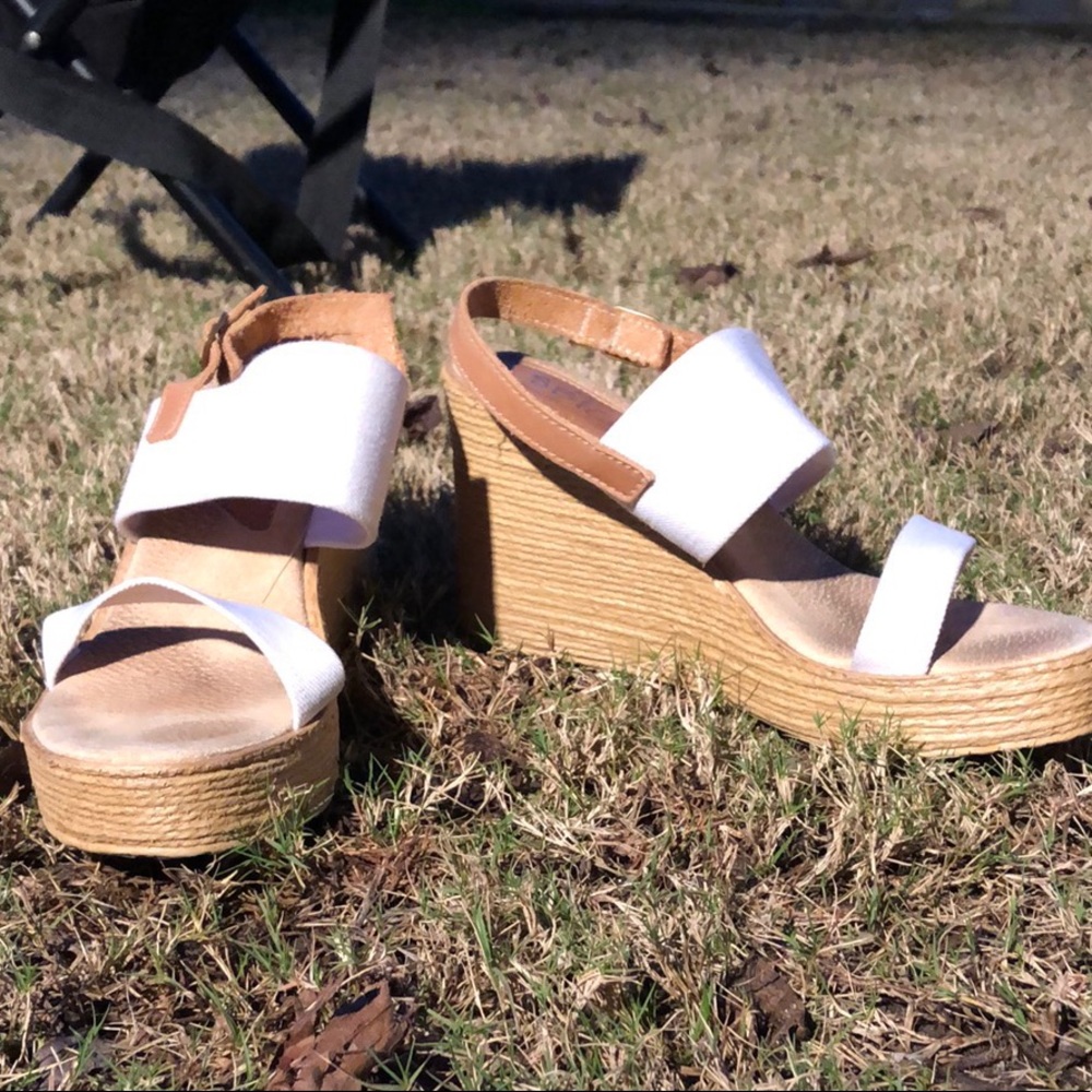 White double banded wedges